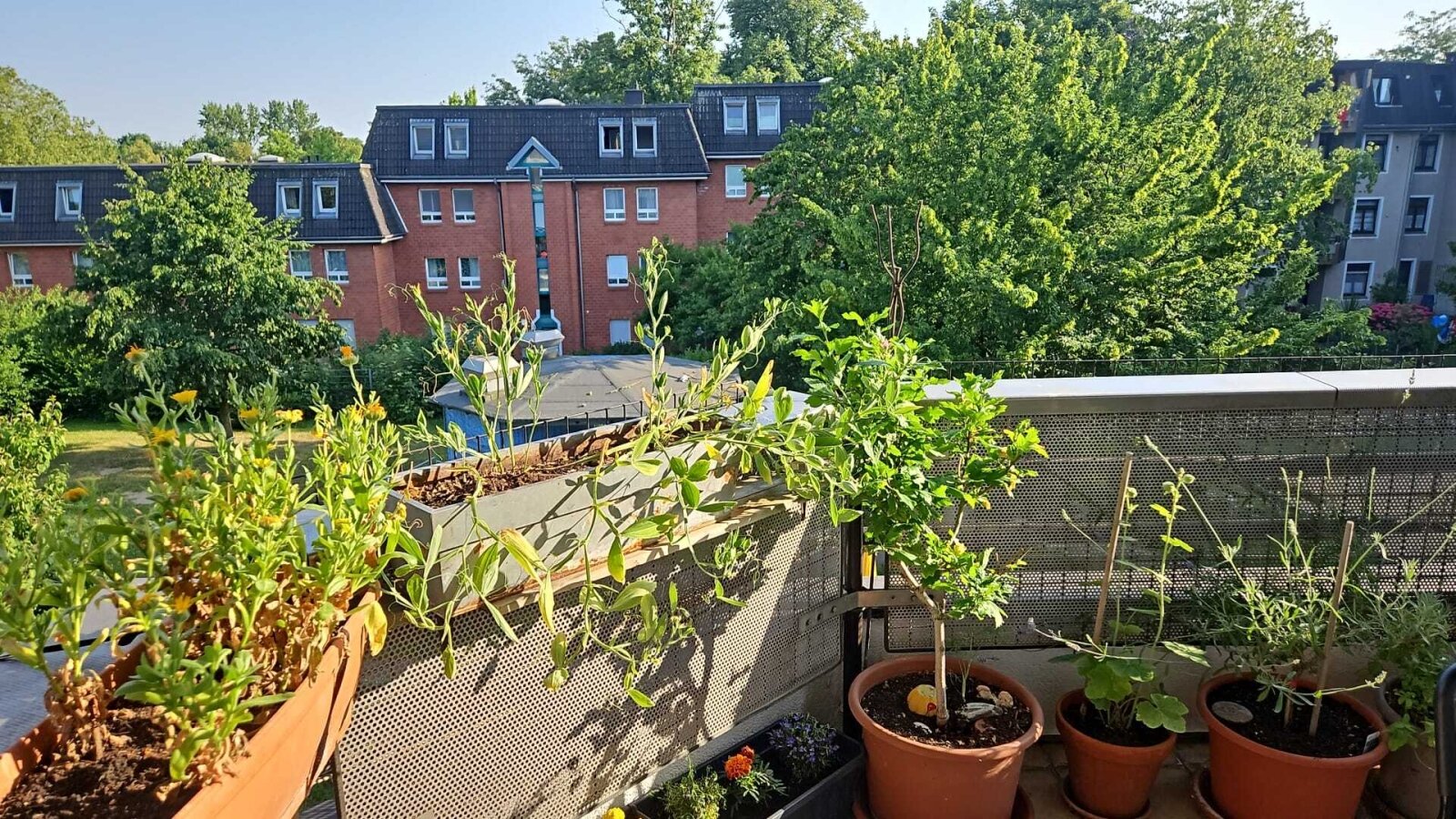 Wohnzimmer Balkon Wohnzimmer Balkon